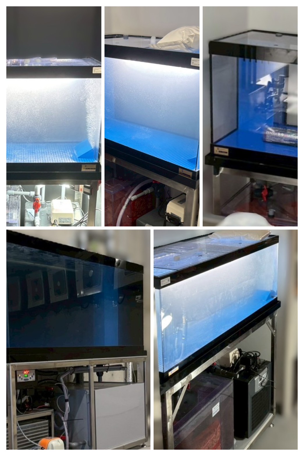 栃木県　活魚水槽5台　新規導入　